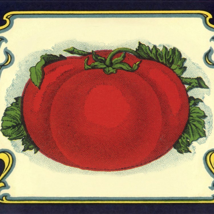 an illustration of a tomato surrounded by a decorative border