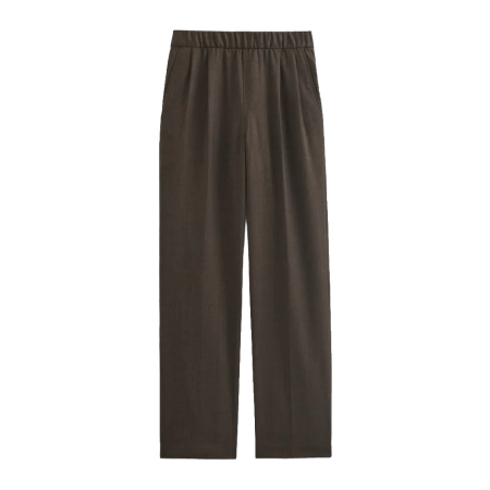 Everlane Pleated Trousers in Tailor Twill