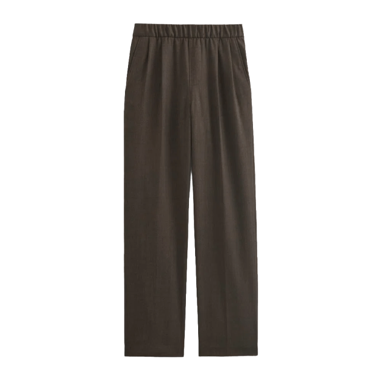 Everlane Pleated Trousers in Tailor Twill