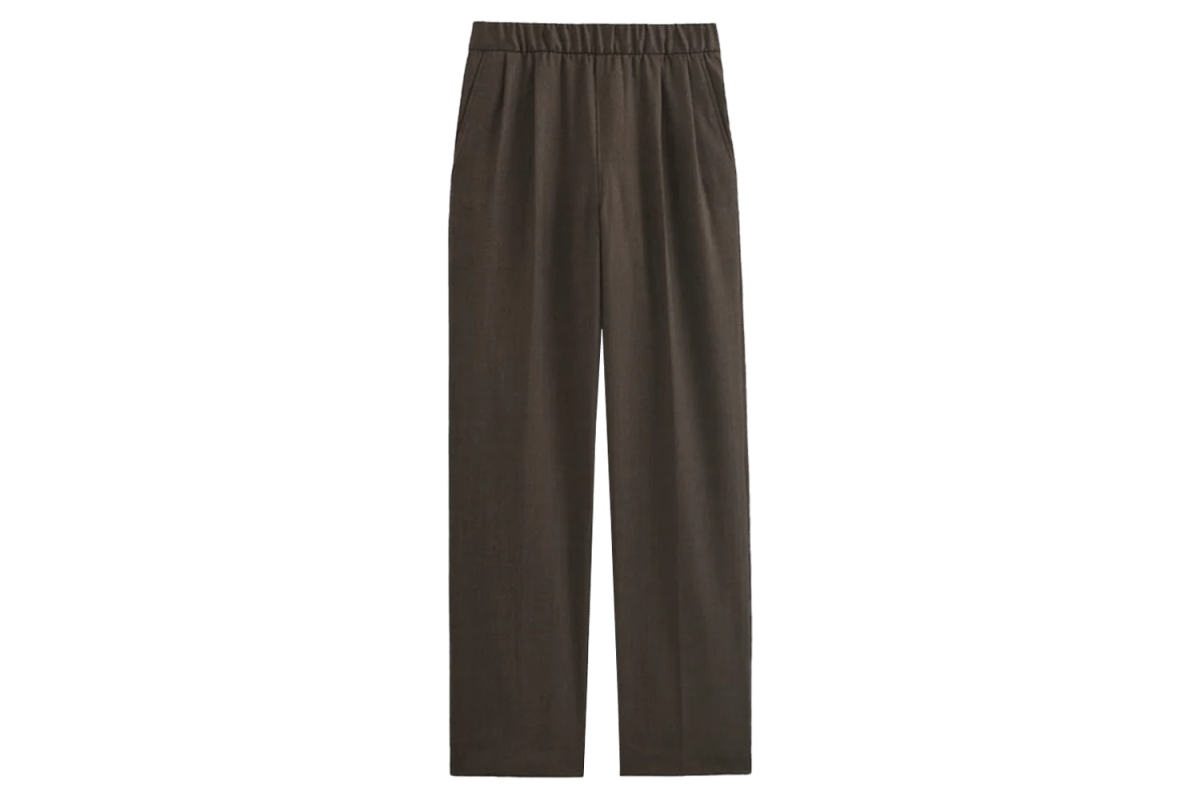 Everlane Pleated Trouser in Tailor Twill
