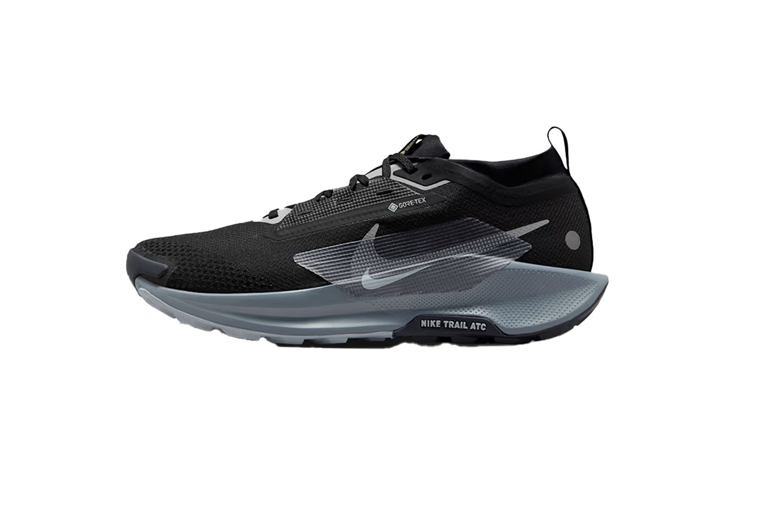 Nike Pegasus Trail 5 GORE-TEX