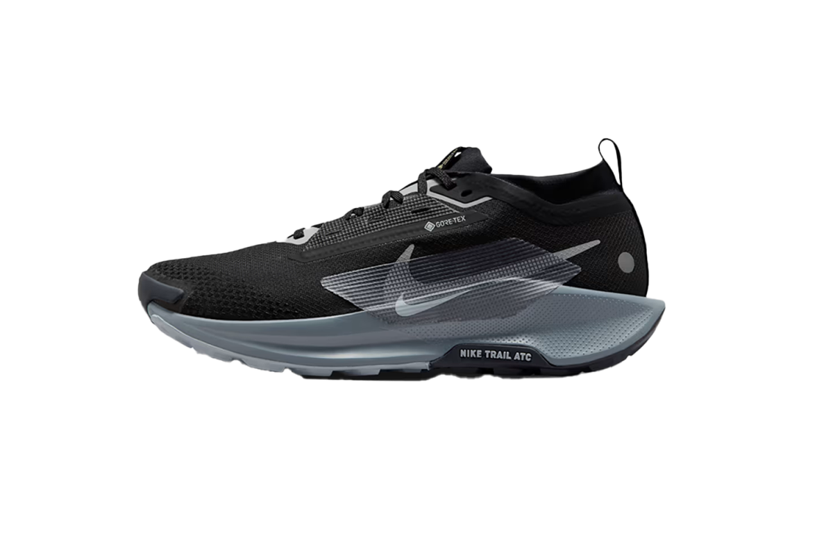 Nike Pegasus Trail 5 GORE-TEX