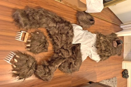 Bear costume on a wood floor