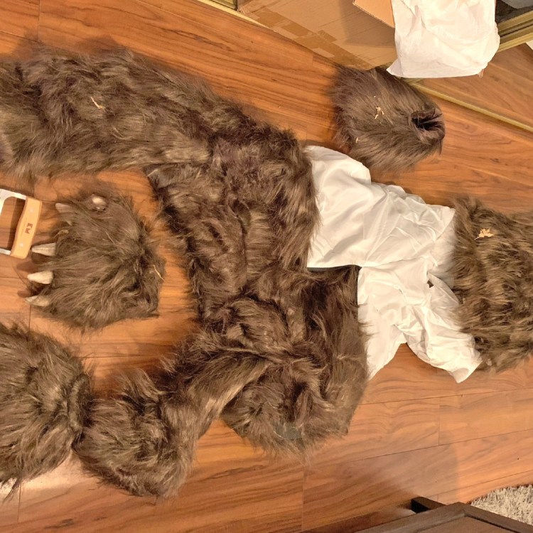 Bear costume on a wood floor