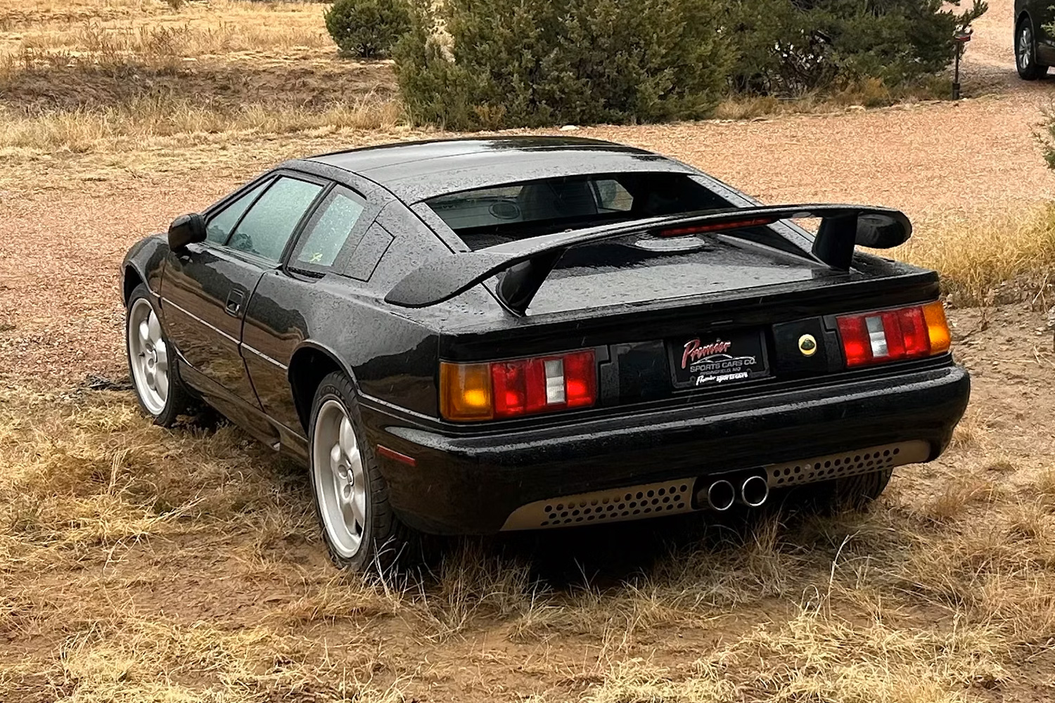 A black car shown from the rear while it sits on brown grass