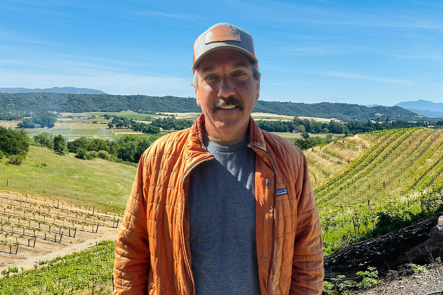Beyond Zinfandel: The Grapes Thriving in Dry Creek Valley - InsideHook