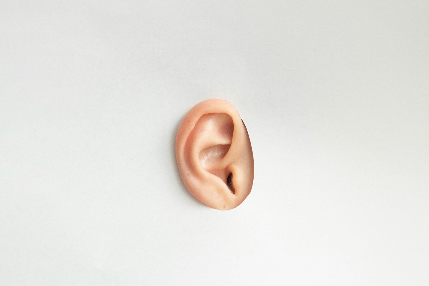 A human ear isolated on a blank background
