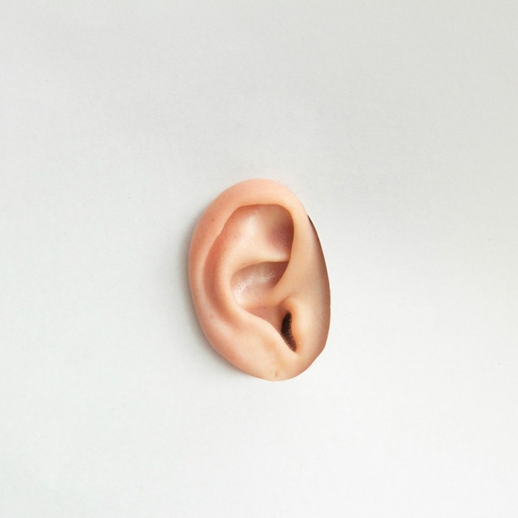 A human ear isolated on a blank background