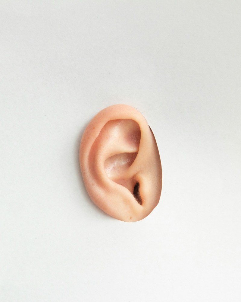 A human ear isolated on a blank background