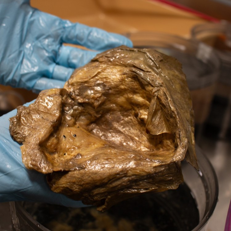 Weird golden orb in a lab