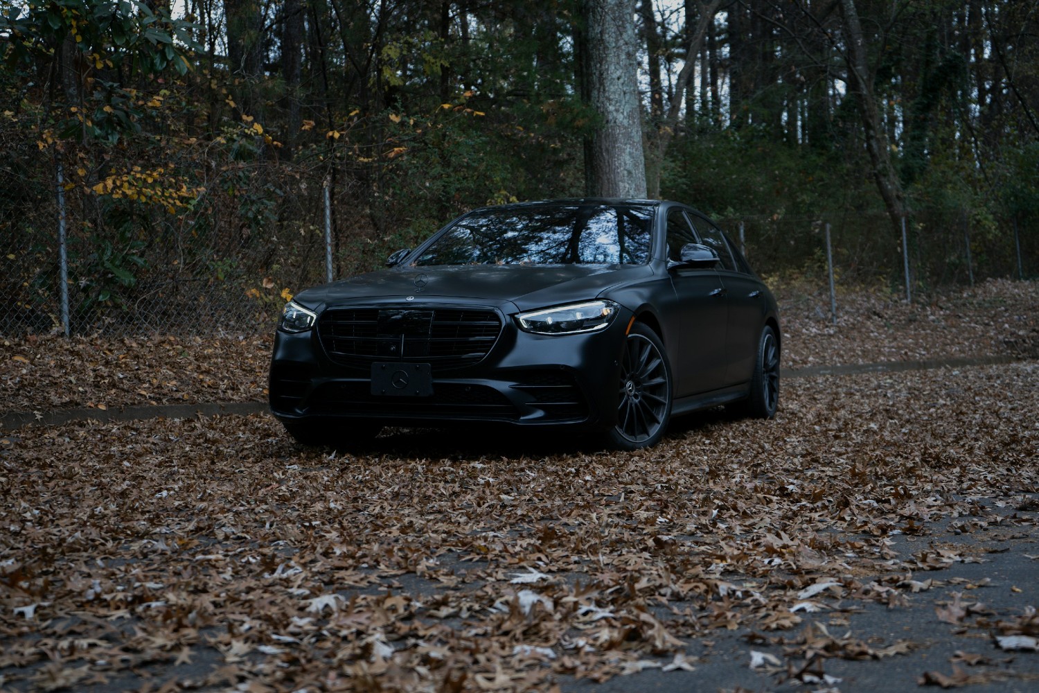 Luxury car surrounded by fallen leaves