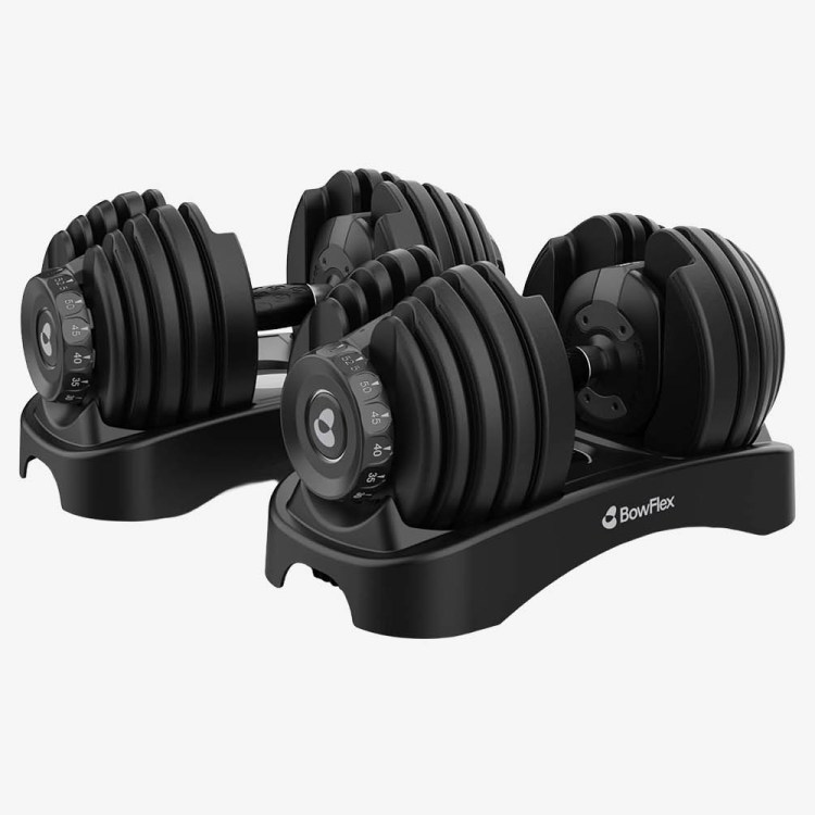 BowFlex Results Series SelectTech Dumbbells