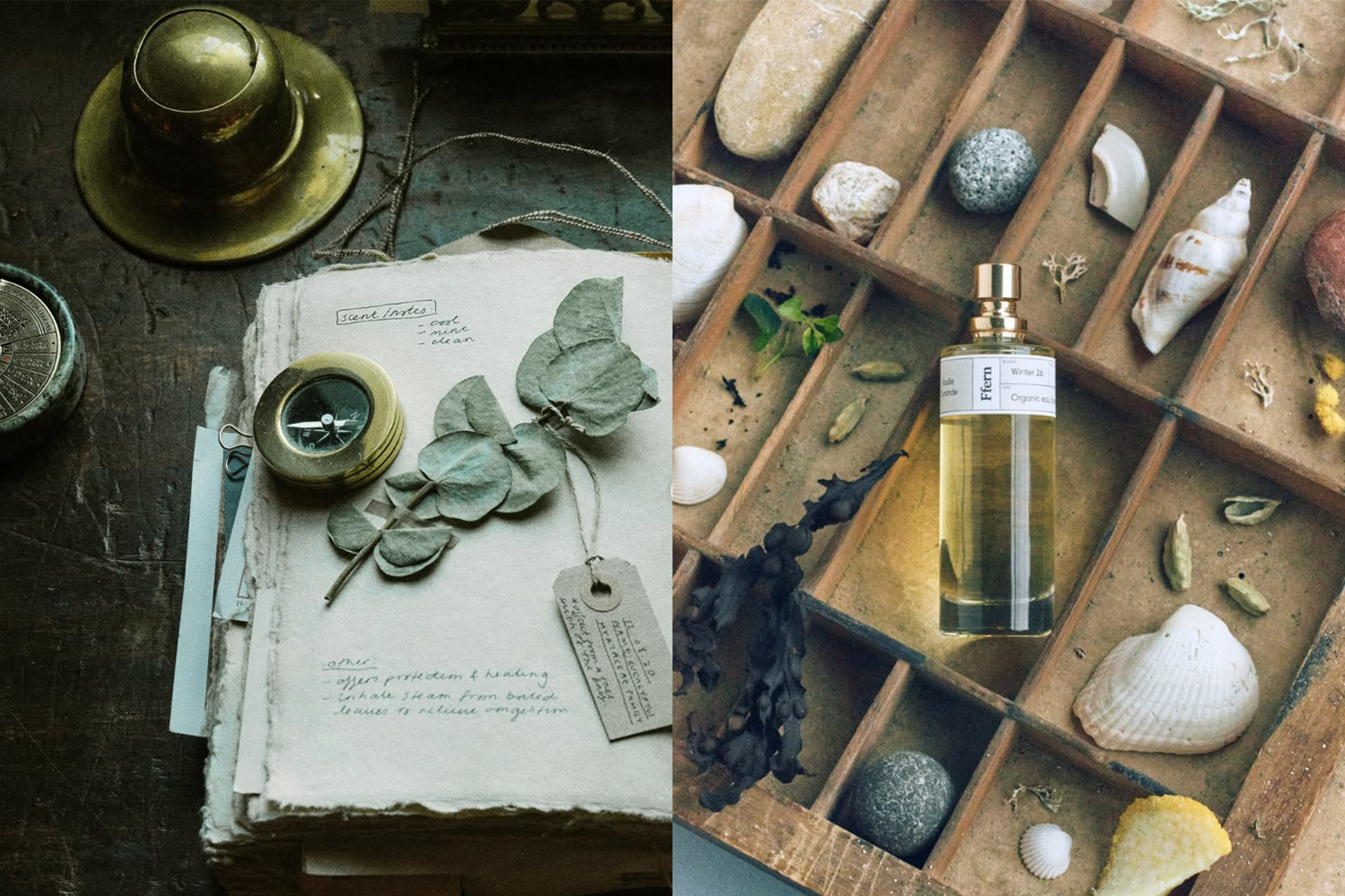 two lifestyle images of ffern
