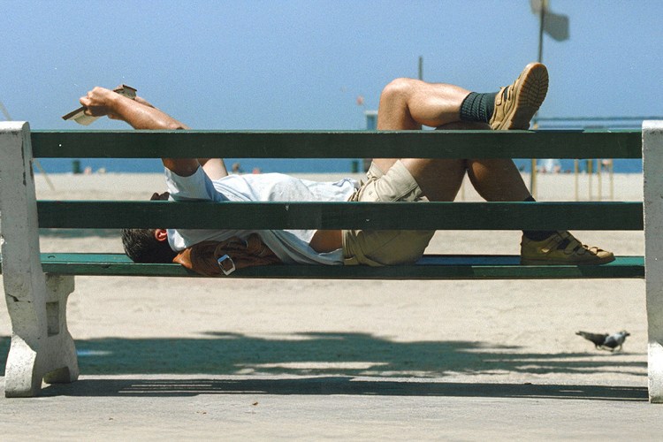 a man reading on a bench by the beach.