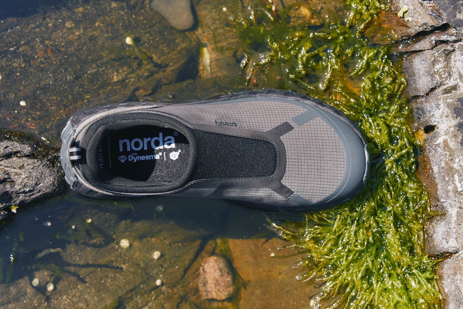 A gray and black Norda shoe with "Dyneema" branding rests in shallow water next to rocks and green algae.