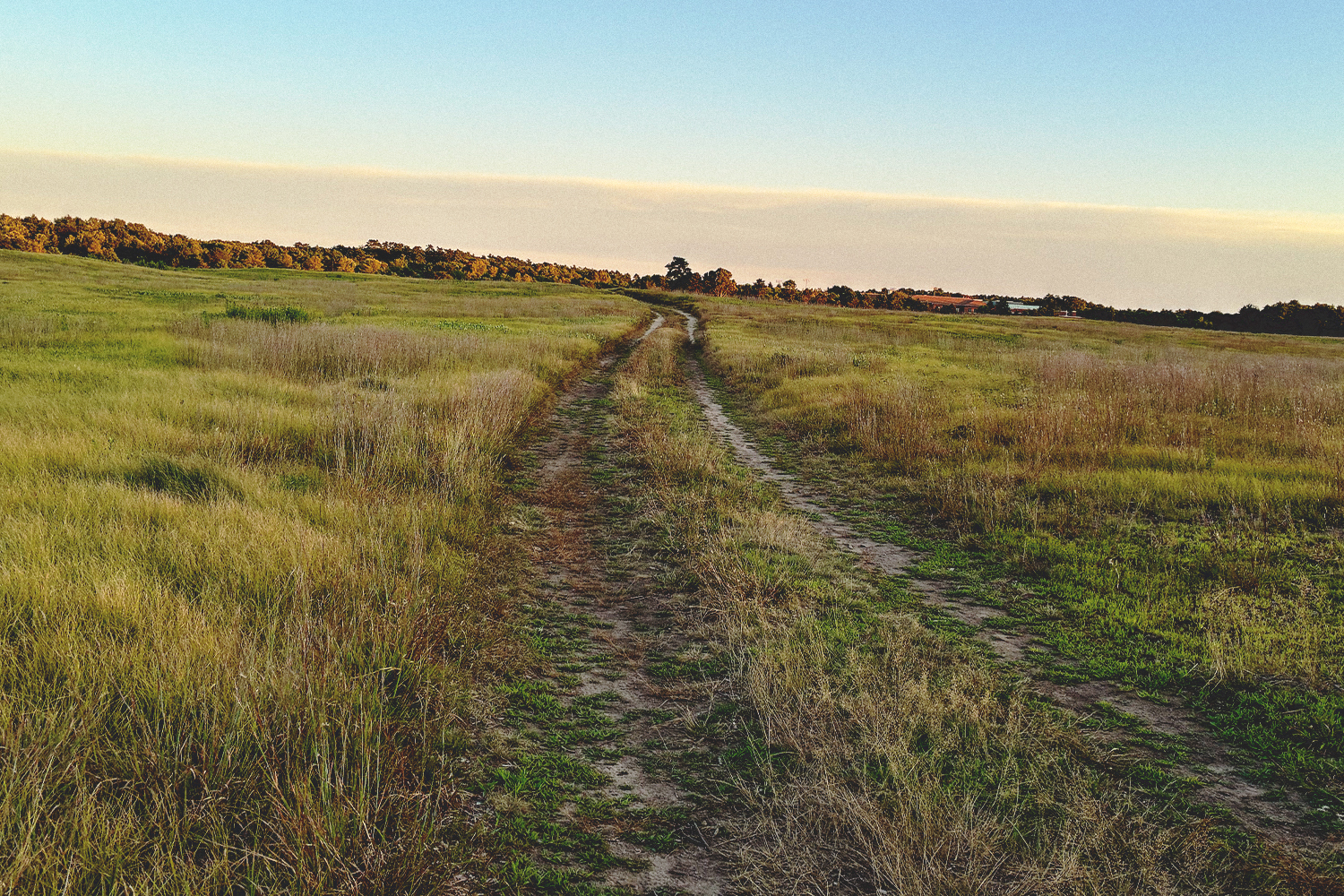 A dirt road winds through a grassy field towards a distant tree line under a pale blue and orange sky.