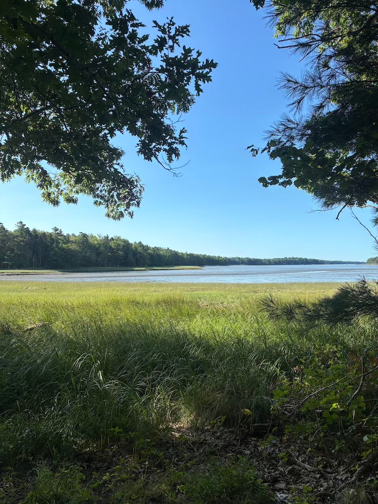 A view of the water in Midcoast Maine.