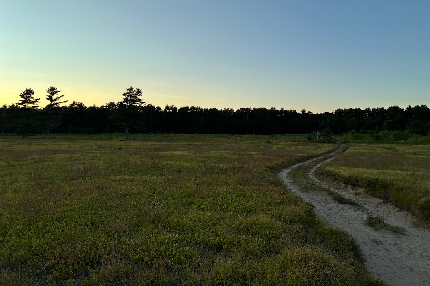 The sun sets over the forest in Midcoast Maine.