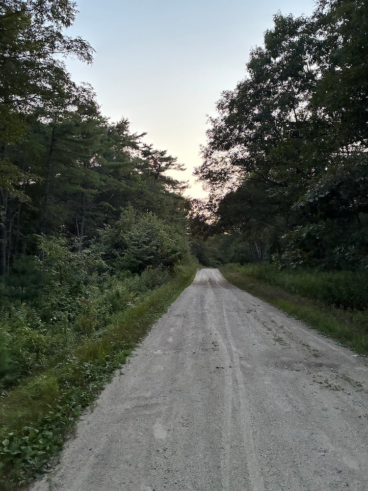 A gravel trail in Midcoast Maine.