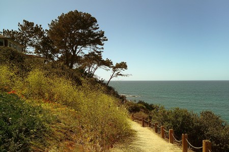 Running Along the Cliffs of America's Finest City