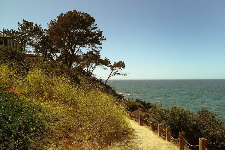 Dirt path with a rope fence leading along a cliffside with green and yellow foliage, overlooking a calm blue ocean.