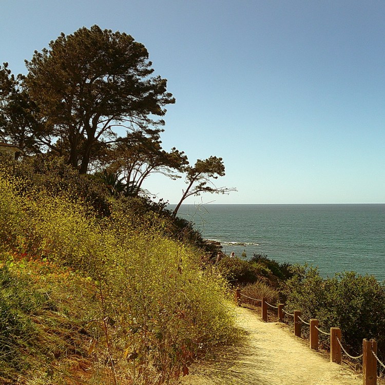 Dirt path with a rope fence leading along a cliffside with green and yellow foliage, overlooking a calm blue ocean.