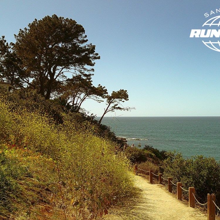 Dirt path with a rope fence leading along a cliffside with green and yellow foliage, overlooking a calm blue ocean.