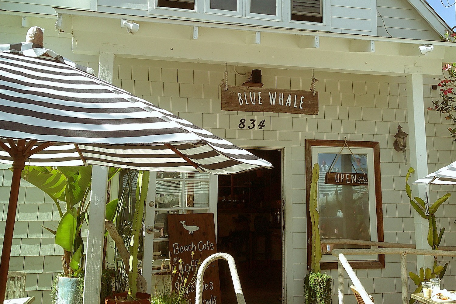 Exterior of Blue Whale cafe with striped umbrellas, cacti, and an "OPEN" sign.