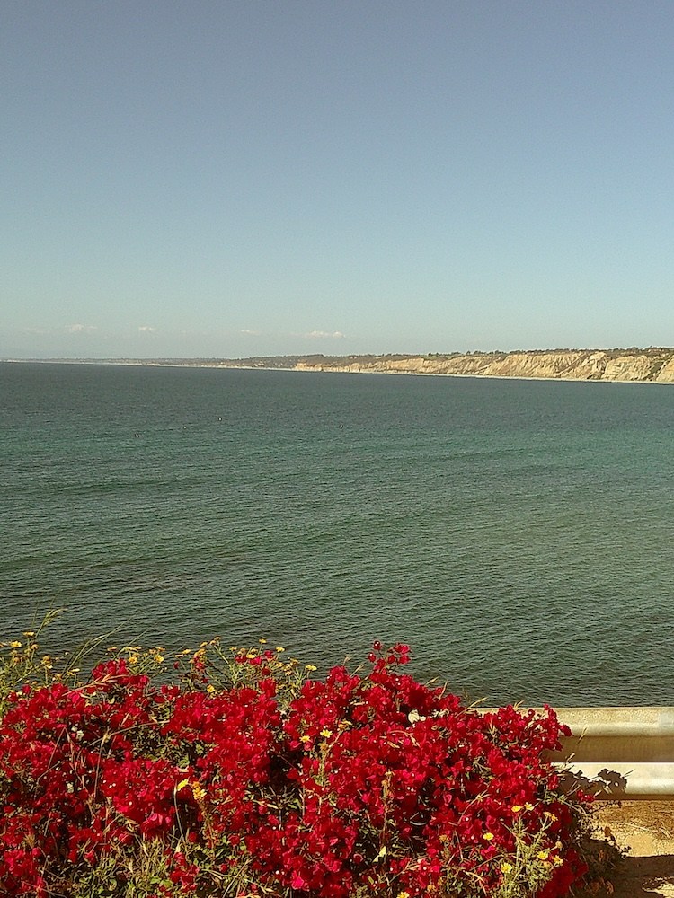 Red bougainvillea and yellow wildflowers in the foreground, with a vast blue ocean and distant cliffs under a clear sky.