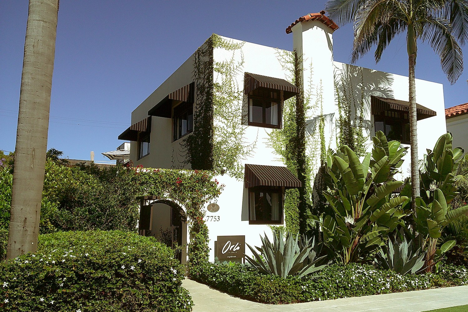 White stucco building with brown striped awnings, covered in ivy, surrounded by lush green plants and palm trees.