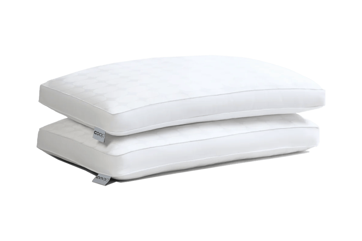 Coop Home Goods Essence Cooling Down Alternative Pillows (2-Set)