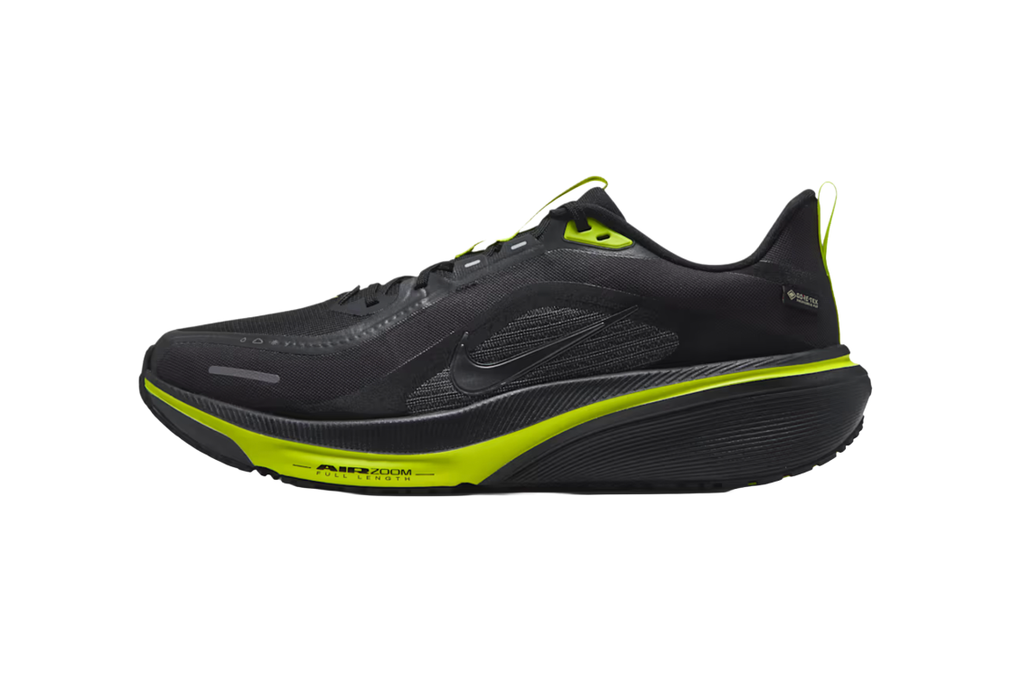 Nike Pegasus 42 GORE-TEX