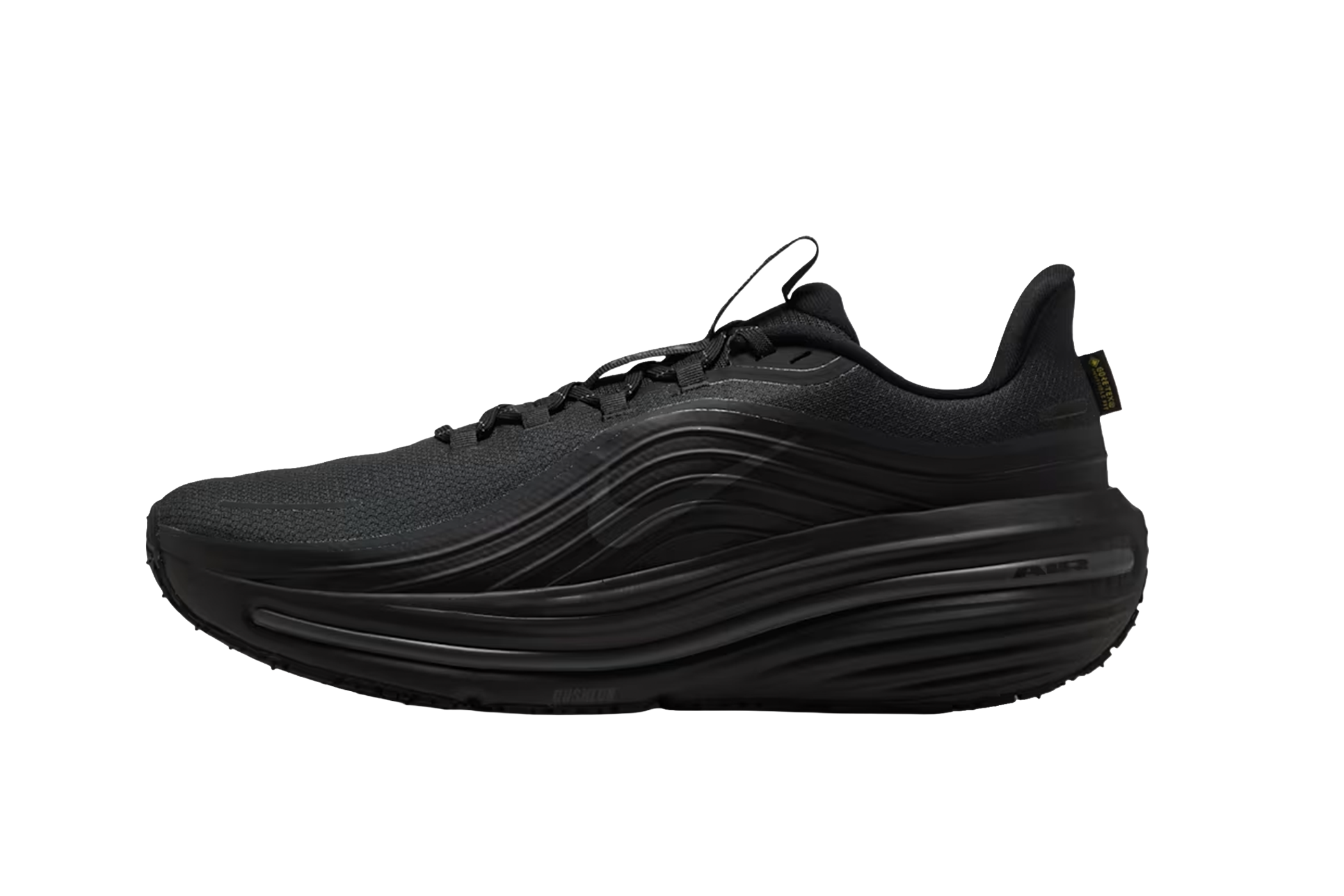 Nike Winflo 12 GORE-TEX