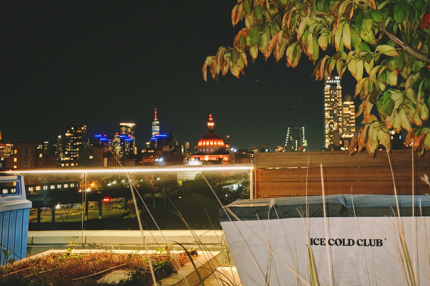 Nighttime city skyline with a red-domed building, a distant bridge, and illuminated skyscrapers, framed by foliage.