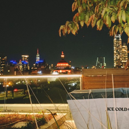 Nighttime city skyline with a red-domed building, a distant bridge, and illuminated skyscrapers, framed by foliage.